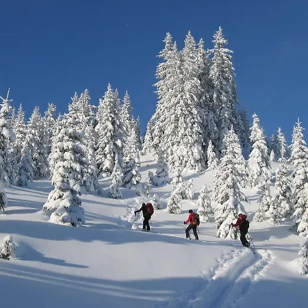 Erzberg Alpin Resort.26 شقة إيسينيرزير